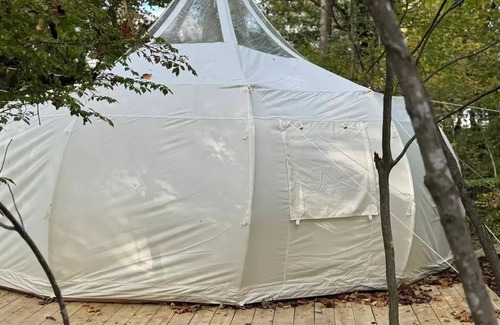 Waverly RV Rental | Glamping starglazing tentn