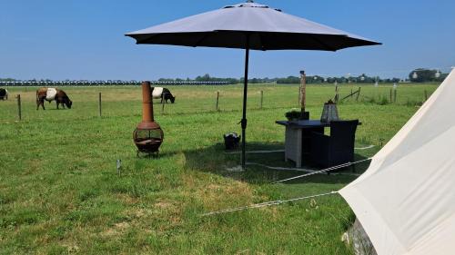 Hensbroek Other | Glamping tent met privé sanitair