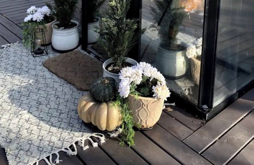 Lawrence Bed & Breakfast | Glamping Under the Stars at The Little Forest Nest!