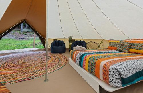 Stanton Other | Glamping Yurt #2 in Red River Gorge with Wooded Views & Bath House
