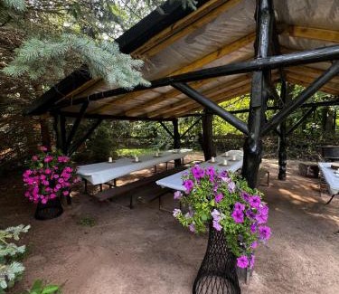 Checiny Other | Glamping za Zamkiem w Chęcinach