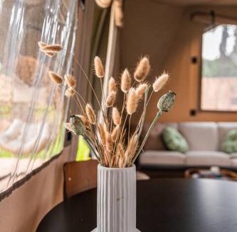 Raar Other | Glampinglodge luxe voor 4 personen met hottub
