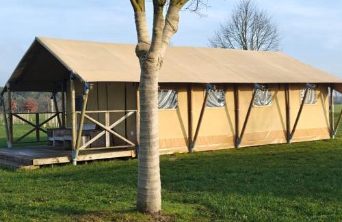Bergeijk Other | Glampingtent 6 persoons Lindershoeve Bergeijk