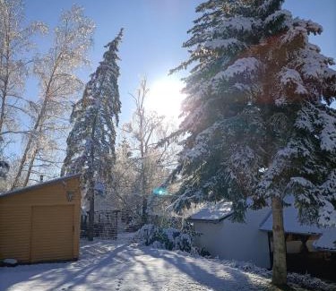 Kisujbanya Ski Chalet | GLASHÜTTE Kisújbánya Vadászház