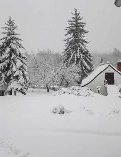 Kisujbanya Ski Chalet | GLASHÜTTE Kisújbánya Vadászház