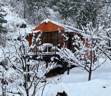 Manali Resort | Glass Cabins by Urban Monk- Unique Centrally Heated Cabins with Electric Blankets