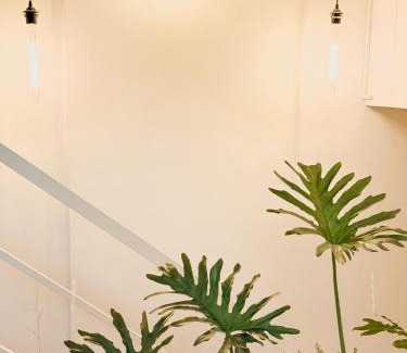 Luzon Villa | Glass House in Baguio city