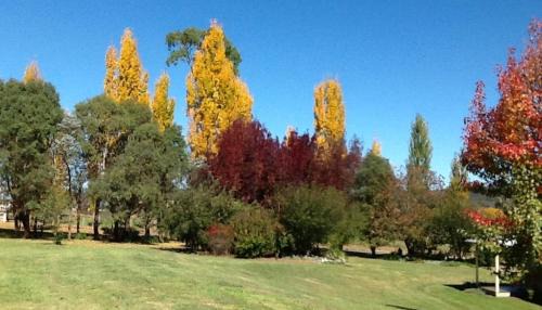 Glen Innes House | Glen Waverly Farmstay