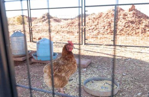 Fredonia House | Glitter and Grit! The Wild West 40 Homestead