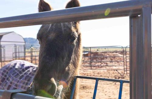 Fredonia House | Glitter and Grit! The Wild West 40 Homestead