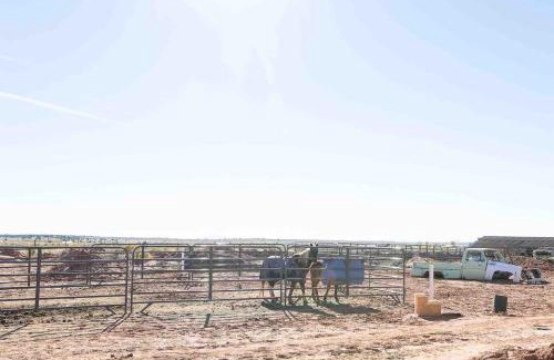 Fredonia House | Glitter and Grit! The Wild West 40 Homestead