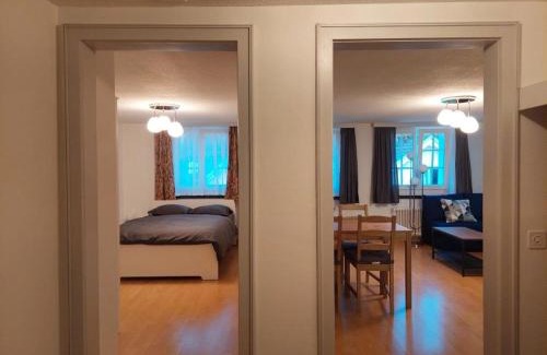 St. Gallen Apartment | Global Citizen 7