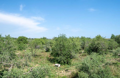 Reus Villa | Global Villa Paquita, Casa Con Bbq Y Piscina