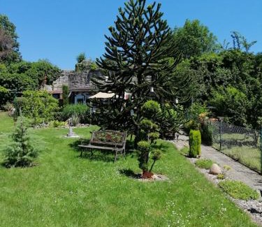 Bad Sooden-Allendorf Apartment | Glori' s Fewo groß