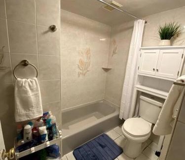 Gloucester Apartment | Glorious Suite near Downtown with washer/dryer