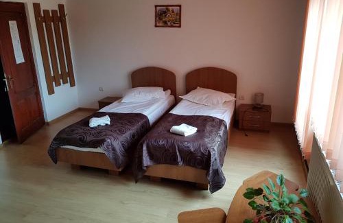 Tureni House | Gold Fayen House Cheile Turului