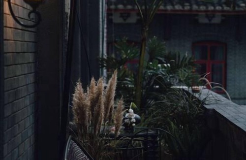 Jinjiang Apartment | Golden Age Hotel