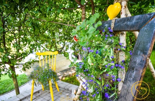 Saliste House | Golden Deevi
