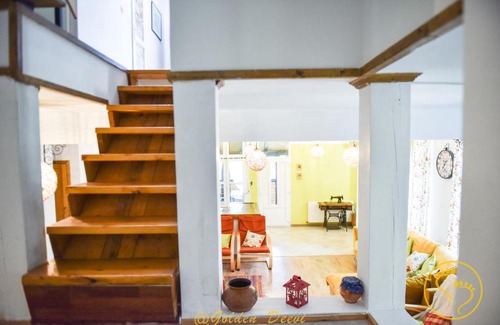 Saliste House | Golden Deevi