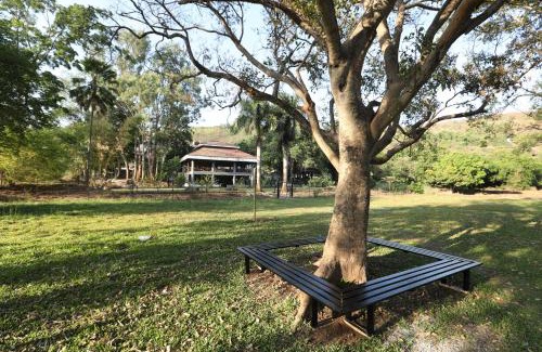 Paud Resort | Golden Fields Resort