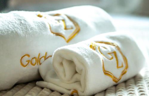 Zaandam Hotel | Golden Zaan Hotel, Zaandam-Amsterdam