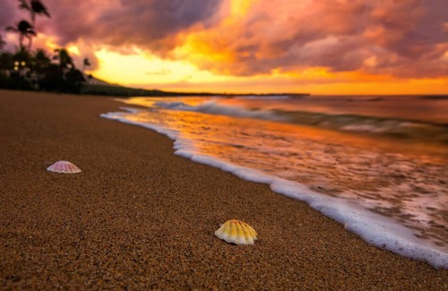 Kahuku Apartment | Golf Course Serenity at Turtle Bay