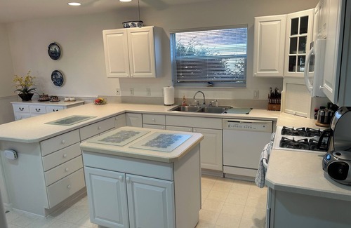 Springdale House | Golfers Paradise! 3-bedroom with a lake view, on the golf course in The Villages