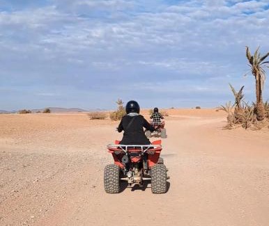 Gondomar Other | Gondotour Quad tour