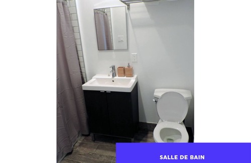 De Lorimier Apartment | Gorgeous 3-bedroom apartment with WiFi in charming Montréal LE PLATEAU