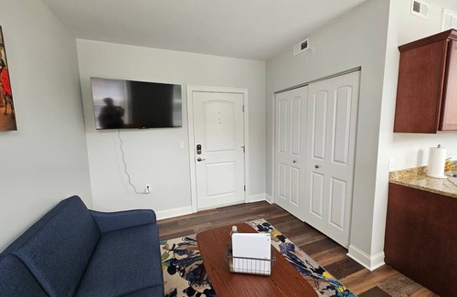 Champaign Apartment | Gorgeous and Spacious Studio at the Historic Inman