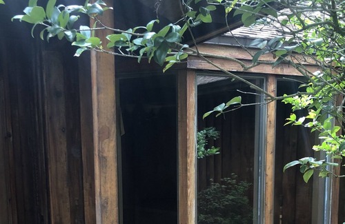 Thonotosassa House | Gorgeous cedar house with no cleaning fee