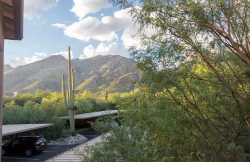 Tucson House | Gorgeous Mountain and City Views, Pools, and Hot Tubs
