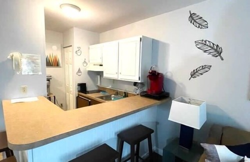 Hancock Apartment | Gorgeous Mountain View Suite Ski On/Off At Jiminy - Fully Redone Decor