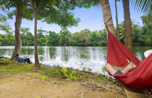 Hopkins Cabin | Gorgeous Studio Cabin located on the tropical Banks of the Sittee River
