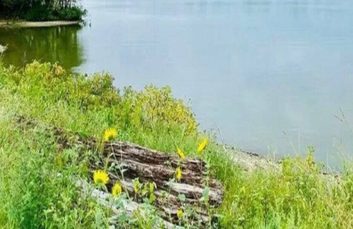 Copeland Condo | Gorgeous sunrise/sunset views of lake
