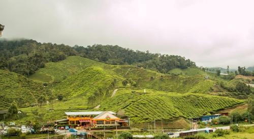 Kuala Terla Apartment | Gorgeous Sunset & Tea Plantation View-Premium Hotel Bed