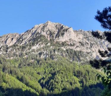 Spital am Pyhrn House | Gorshof