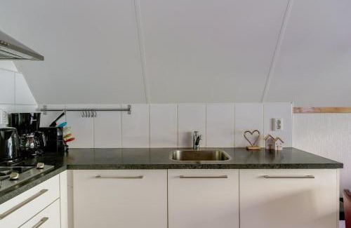 Zwiggelte House | Goudhaan I Fijne Accommodatie met Openhaard
