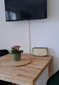 Kreuzlingen Apartment | Grünes 1-Zimmer-Appartement