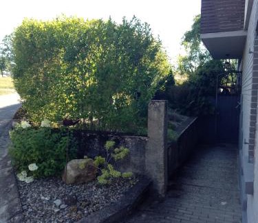 Opfenbach Apartment | Grünes Allgäu Simon Held