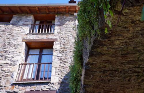 Vilallonga de Ter Apartment | Gra de fajol