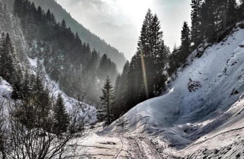 Gaschurn Ski Chalet | Graceful Chalet in Gaschurn with Sauna