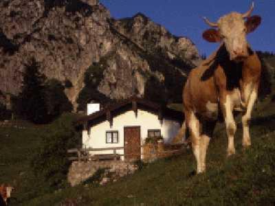 Schleching House | Grafn-Hof