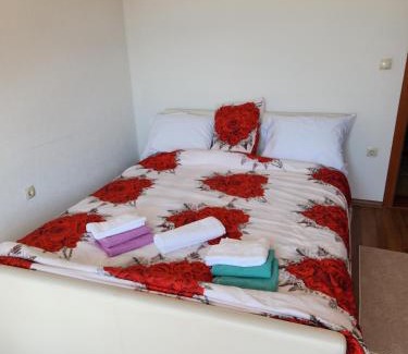 Sarajevo Apartment | Grand AC Residence with Garden & Parking