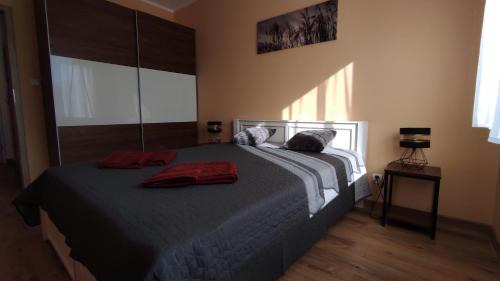 Ilawa Apartment | Grand Apartament nad Iławką