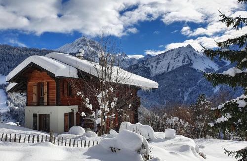 Barboleusaz Ski Chalet | Grand chalet rustique à Gryon, avec vue et cheminée
