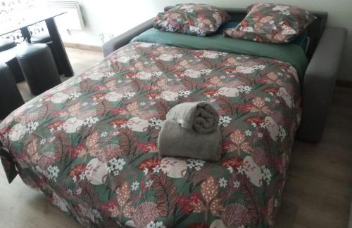 Saint-Gratien Apartment | Grand Studio 25 min Paris Porte Maillot