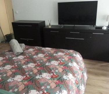 Saint-Gratien Apartment | Grand Studio 25 min Paris Porte Maillot