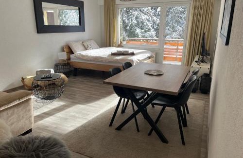 Lens Apartment | Grand Studio au centre de Crans