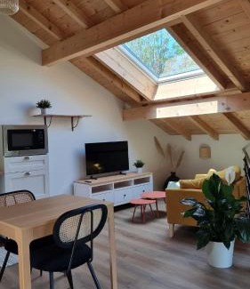 Sciez Apartment | Grand studio neuf avec vélos